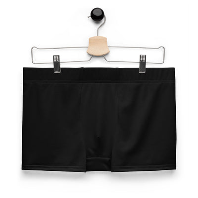 Foggy Bottom (in Black) Swim Briefs