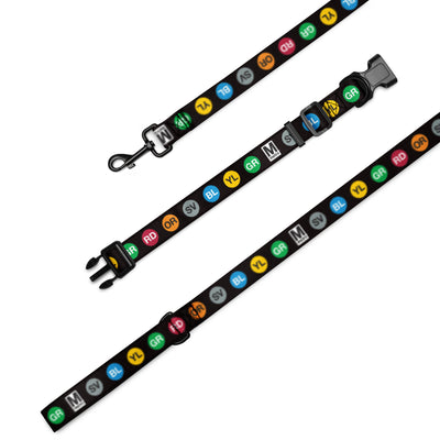 Metro Dots Pet Collar & Leash Set