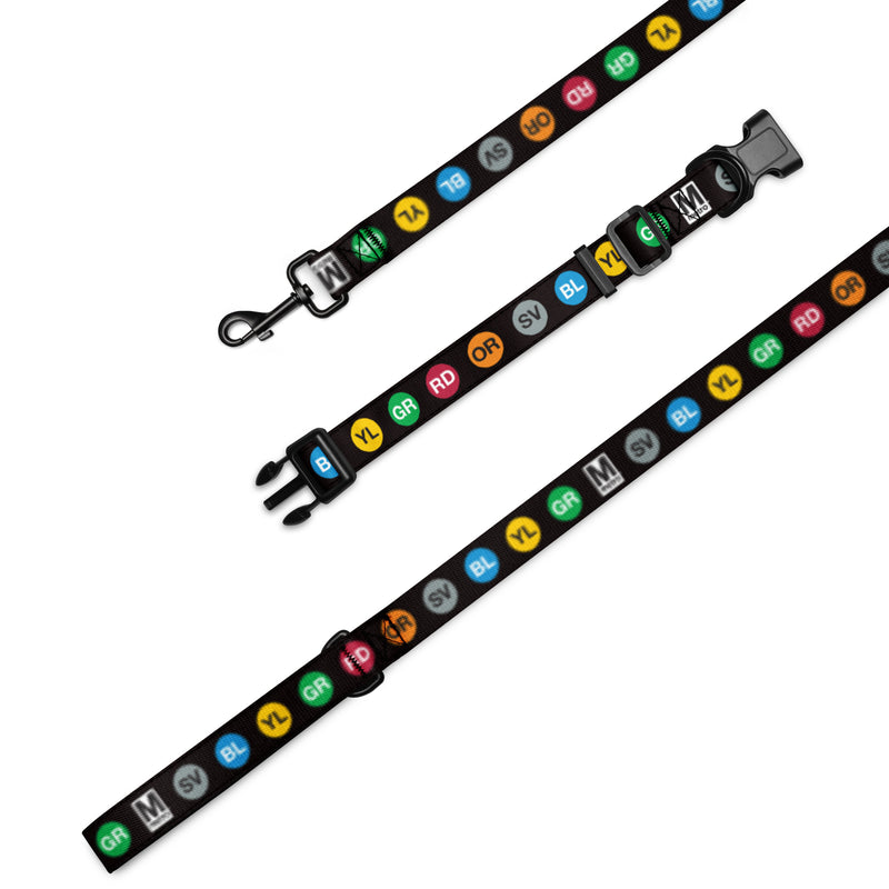 Metro Dots Pet Collar & Leash Set