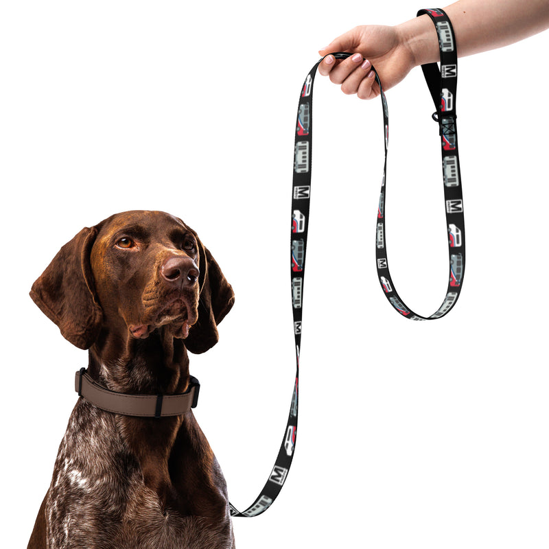 Mobility Options Pet Leash